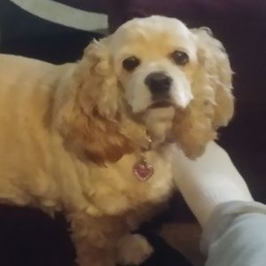 Meet your Posher, Cindy